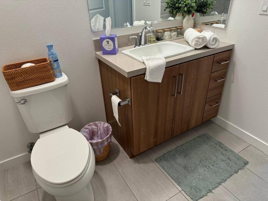 Apartment Spacious, Modern 1bd Hollywood Free Parking, Pool, Wifi, Private Balcony *